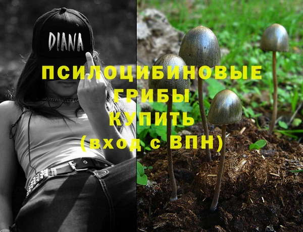 кокс Арсеньев
